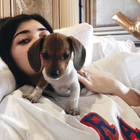 Kylie Jenner Posts an Update On Her New Beagle Penny Jenner