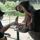 Pablo Escobar’s $5.3 Million Pet Hippo Cartel Still Run a Colombian Town