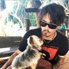 Johnny Depp & Amber Heard in an Apology Video for Dog Smuggling in Australia