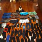 Real Life Cat Thief Steals Underwear From the Neighbors as Gifts for his Owner