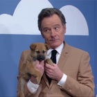 Bryan Cranston is a Liar (but only to get rescue dogs adopted)