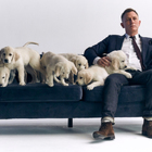 Daniel Craig Teams Up With Cute Puppies For Charity