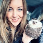 The “world’s cutest adventurer” Mr. Pokee is an African Pygmy Hedgehog with Wanderlust