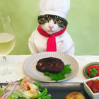 Maro the cosplaying cat chef eats and dresses better than you