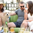 Top 10 Dog-Friendly Luxury Hotels in North America