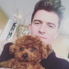 Video of Orlando Bloom playing with puppy is straight fire