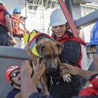 Two dogs and their humans found after months lost at sea