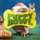 Puppy Bowl is back! Meet Team Fluff and Team Ruff