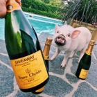 Christopher the Pig puts the Boo in Boujee