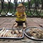 A fishmonger cat named dog takes over pet fashion