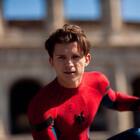 Tom Holland All Around Good Guy Rescues Stray Dog