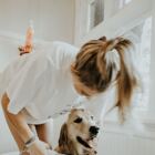 Ways To Keep Your Dog Clean & Groomed