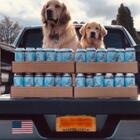 Beer Delivery By Brew Dogs by Six Harbors Brewing Company