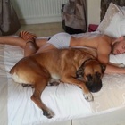 Conor McGregor heartbroken over the loss of his dog Hugo