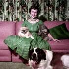 A tribute to Betty White – Legendary animal welfare advocate