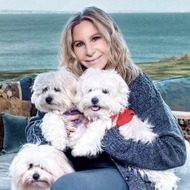 Barbra Streisand Pets