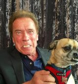 Arnold Schwarzenegger Pets