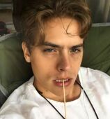 Dylan Sprouse Pets