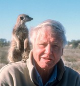 David Attenborough Pets