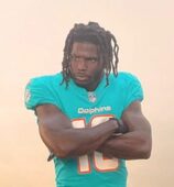 Tyreek Hill Pets