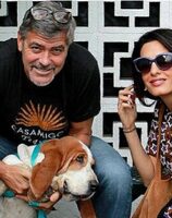 George Clooney Pets