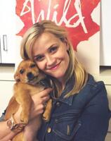 Reese Witherspoon Pets