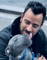 Justin Theroux Pets
