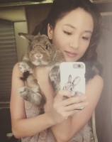 Constance Wu Pets