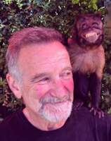 Robin Williams Pets