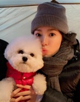 Song Hye Kyo Pets