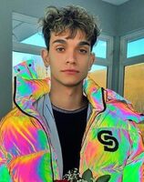 Marcus Dobre-Mofid Pets
