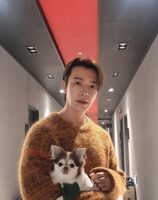 Donghae Pets
