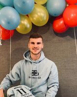 Timo Werner Pets