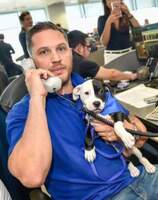 Tom Hardy Pets