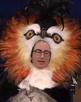 John Oliver Pets