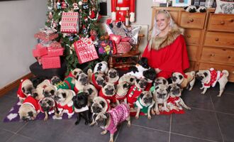 UK Womans Spends $30,000 on Her 30 Pugs Per Year Is Spoiling Them for Their Christmas