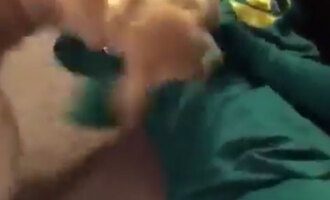 Cute Dog Flips Out When He Learns His Favorite Toy, Gumby, Is Real