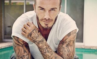 David Beckham Pets