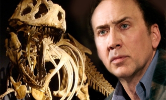 Nicolas Cage Once Owned a $150,000 Octopus Named Cool That Helped His Acting
