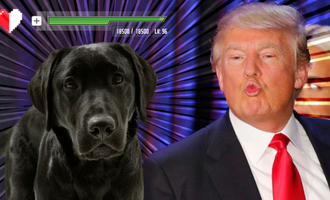 Donald Trump – First president without a dog in over 100 years, SAD!