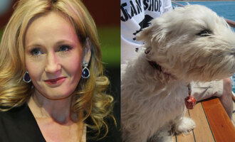 J.K. Rowling’s Dog Just Saved Her Next Book