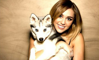 Miley Cyrus Shoutout for Her Passed Dog Floyd for His 5th Birthday