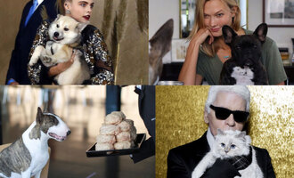 Designer Pets of the Fashion World and Their Celebrity Parents