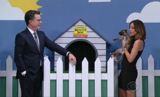 Stephen Colbert and Aubrey Plaza Tell Hilarious Lies to Get Puppies Adopted