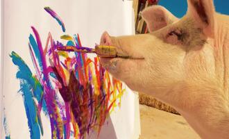 Pigcasso the Pig Paints to Support her Farm Sanctuary