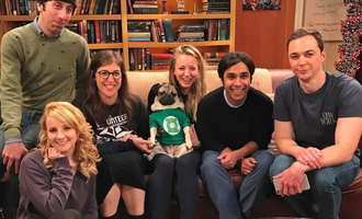 Doug the Pug joins The Big Bang Theory cast for “The Big Pug Theory” parody