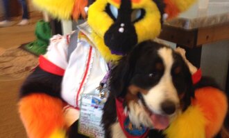 Woman brings her dog to a Furry Convention, hilariously finds out it’s not for pets