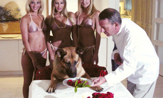 Gunther IV the richest animal in the world