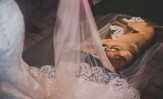 Pup crashes wedding, finds furever family