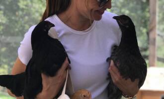 Jennifer Garner unleashes her inner mean girl: walks her chicken and doesn’t give a cluck